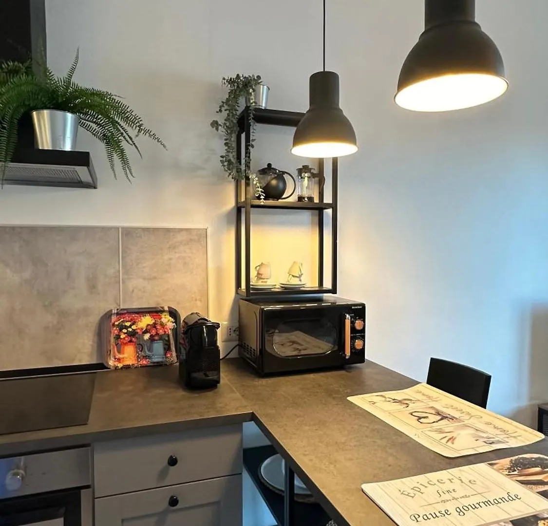 Bellavista-Lake View Apartment - Ranco