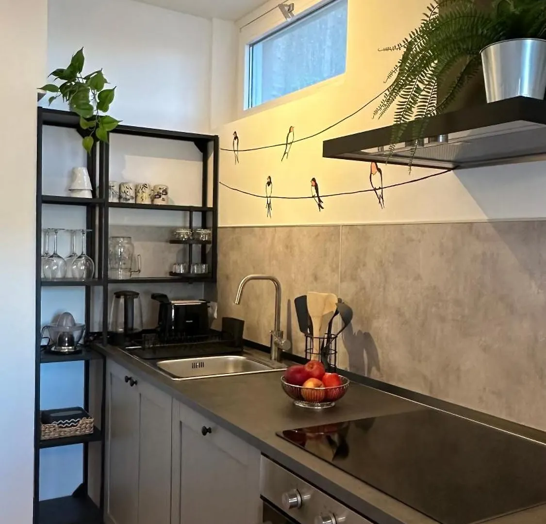 Bellavista-Lake View Apartment - Ranco